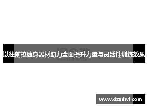 以往前拉健身器材助力全面提升力量与灵活性训练效果